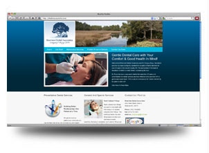The Website Factory Professional Business Websites