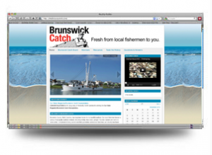 BrunswickCatch Organizations and Non-Profit Websites BrunswickCatch Organizations and Non-Profit Websites